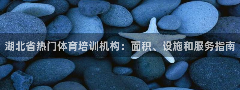耀世楼盘：湖北省热门体育培训机构：面积、设施和服务指