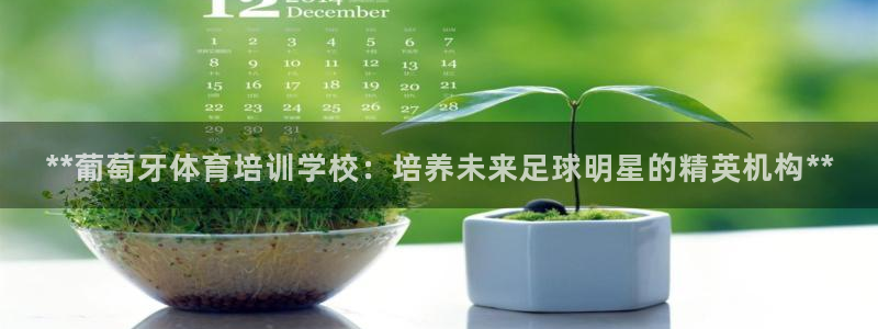 耀世娱乐注册资金多少：**葡萄牙体育培训学校：培养未