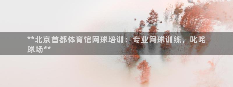 耀世平台主管代理是谁：**北京首都体育馆网球培训：专