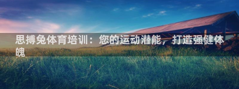 耀世平台重7O777：思搏兔体育培训：您的运动潜能，