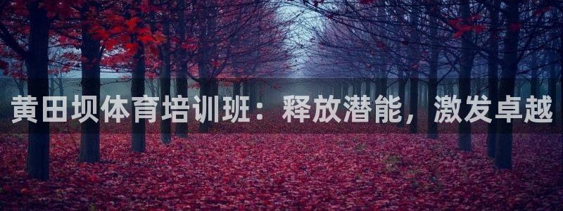 耀世娱乐登陆地址：黄田坝体育培训班：释放潜能，激发卓