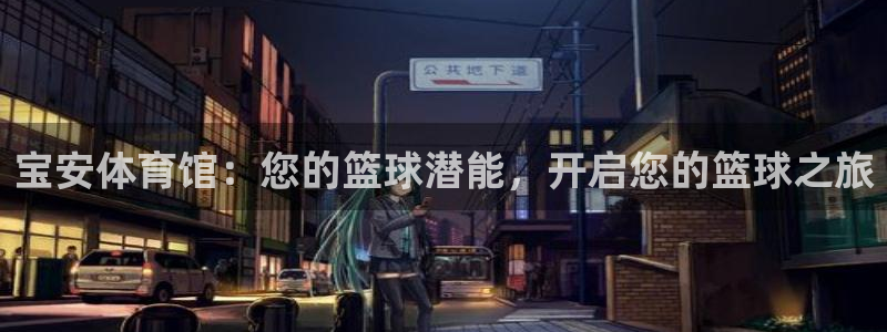 耀世楼盘：宝安体育馆：您的篮球潜能，开启您的篮球之旅