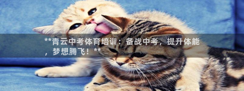 耀世平台实7O777：**青云中考体育培训：备战中考