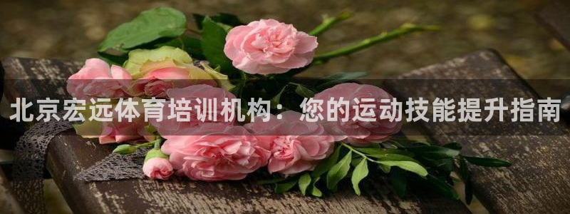耀世娱乐建334-82 主管：北京宏远体育培训机构：