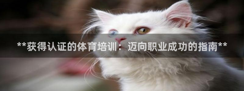 耀世娱乐优 411o31 耀世：**获得认证的体育培