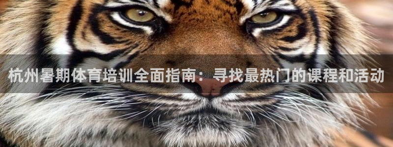 耀世国际平台正规吗可靠吗：杭州暑期体育培训全面指南：