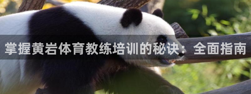 耀世娱乐官网网站入口：掌握黄岩体育教练培训的秘诀：全