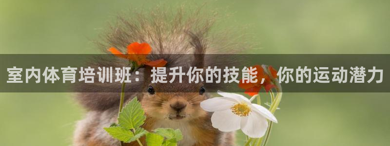 耀世平台将7O777