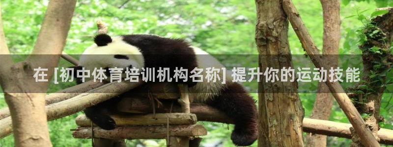 耀世娱乐挂机软件：在 [初中体育培训机构名称] 提升