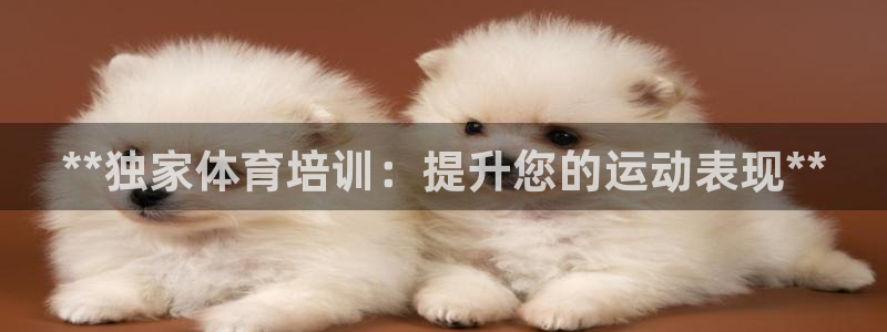 耀世集团董事长耀阳：**独家体育培训：提升您的运动表