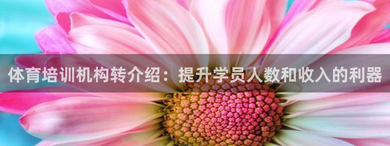 耀世娱乐能不能提现到支付宝：体育培训机构转介绍：提升