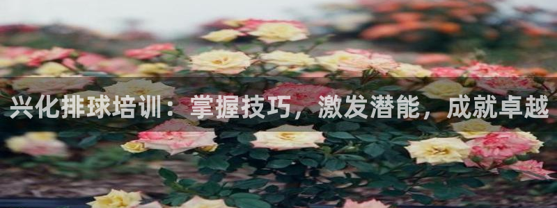耀世平台注册流程视频：兴化排球培训：掌握技巧，激发潜能，成就