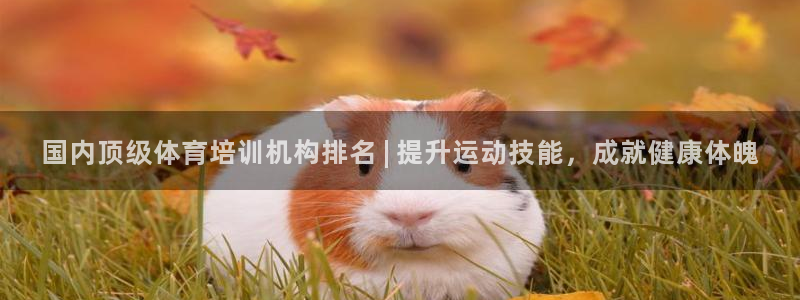 耀世平台关7O777：国内顶级体育培训机构排名 | 