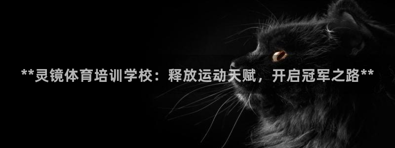 耀世娱乐在线登录官网入口下载：**灵镜体育培训学校：