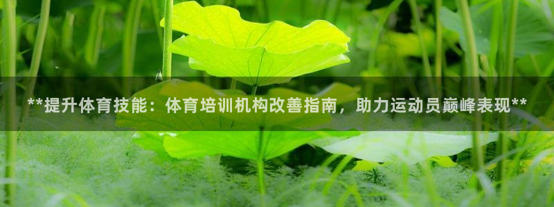 耀世平台注册步骤图：**提升体育技能：体育培训机构改
