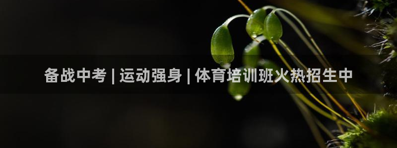 耀世娱乐脚本不死挂机：备战中考 | 运动强身 | 体
