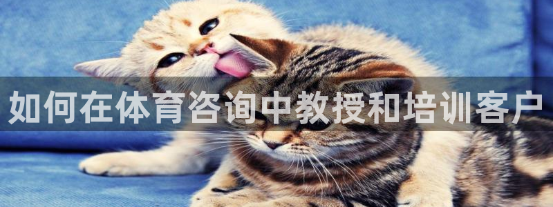 耀世登场什么意思：如何在体育咨询中教授和培训客户