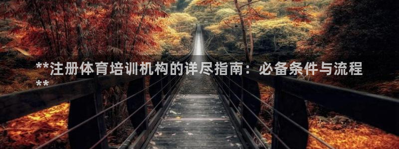 耀世集团王总简介：**注册体育培训机构的详尽指南：必
