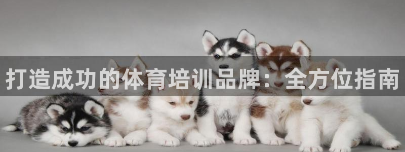 耀世娱乐是个什么平台：打造成功的体育培训品牌：全方位