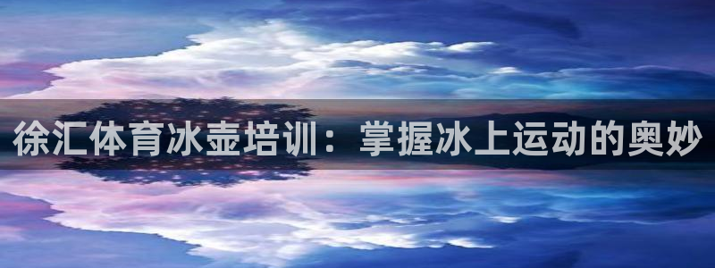 耀世集团视频介绍：徐汇体育冰壶培训：掌握冰上运动的奥