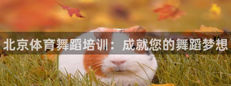耀世娱乐提款多久到账户：北京体育舞蹈培训：成就您的舞