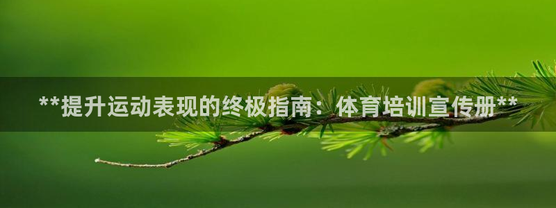 耀世三国官网：**提升运动表现的终极指南：体育培训宣传册**