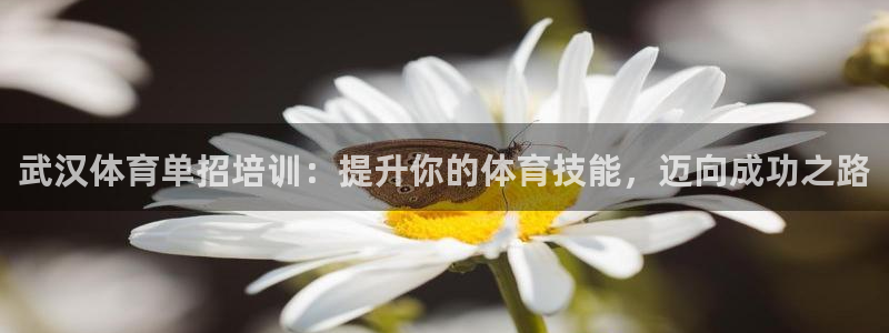 耀世娱乐如何登录账号密码：武汉体育单招培训：提升你的