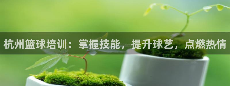 耀世挑战第3关怎么过：杭州篮球培训：掌握技能，提升球
