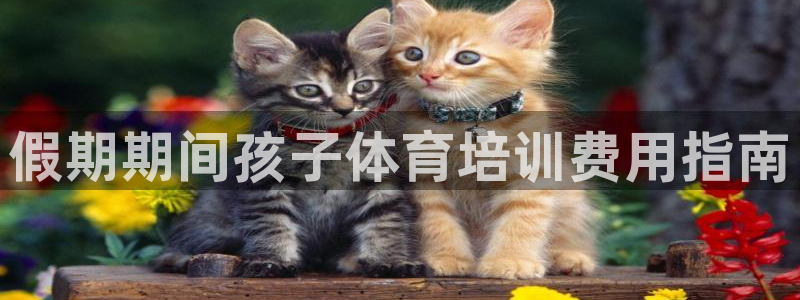 耀世娱乐app下载安装：假期期间孩子体育培训费用指南