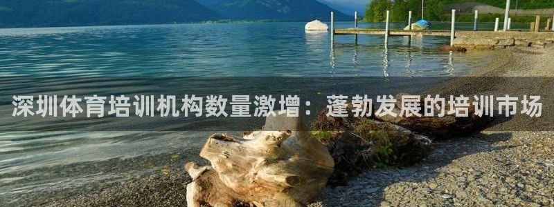 耀世娱乐网站：深圳体育培训机构数量激增：蓬勃发展的培