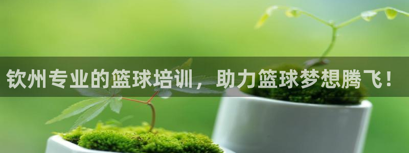 耀世平台告7O777：钦州专业的篮球培训，助力篮球梦