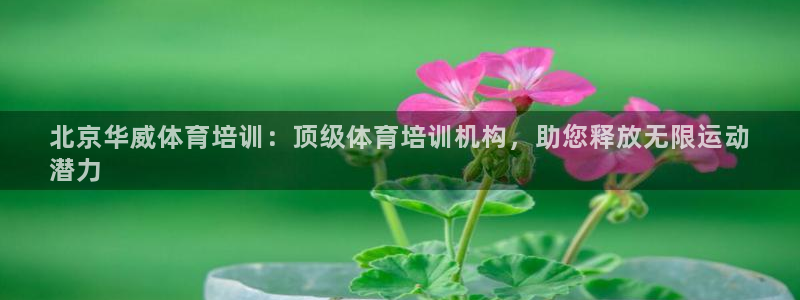 耀世微光歌曲下载：北京华威体育培训：顶级体育培训机构