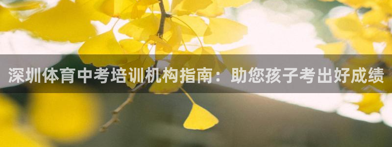 耀世平台主管代理是谁：深圳体育中考培训机构指南：助您孩子考出
