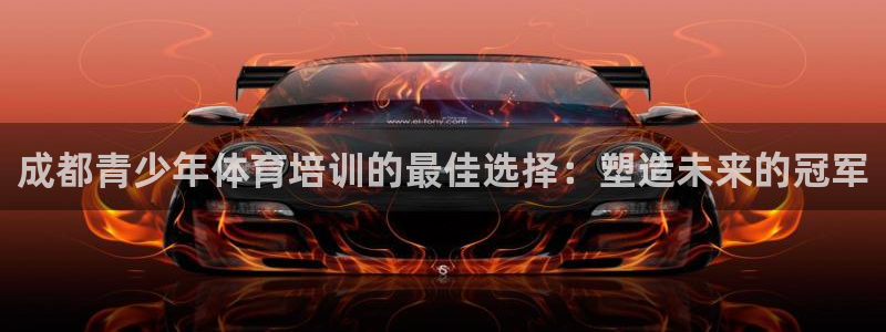 耀世娱乐下载最新版本安装：成都青少年体育培训的最佳选