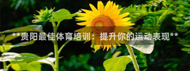耀世而生：**贵阳最佳体育培训：提升你的运动表现**