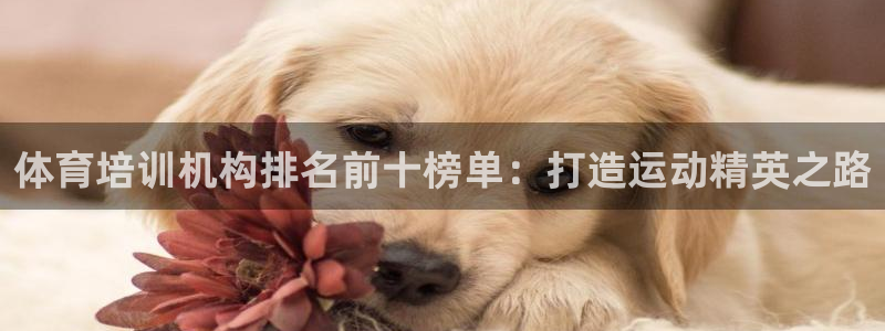 耀世娱乐扣款是7IIII扣什么：体育培训机构排名前十