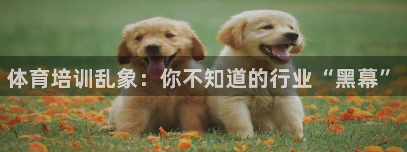 耀世官网：体育培训乱象：你不知道的行业“黑幕”