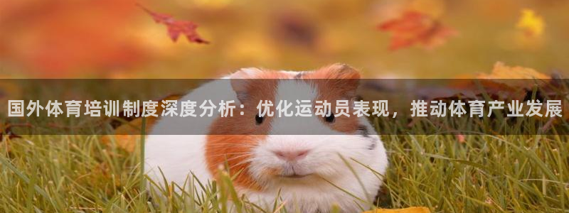 耀世娱乐中国创新：国外体育培训制度深度分析：优化运动