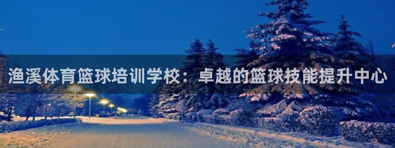 耀世娱乐如何登录平台账户：渔溪体育篮球培训学校：卓越