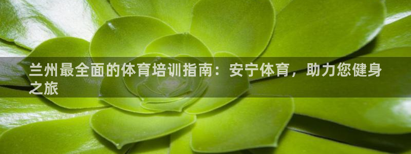 耀世集团商业联盟：兰州最全面的体育培训指南：安宁体育，助力您