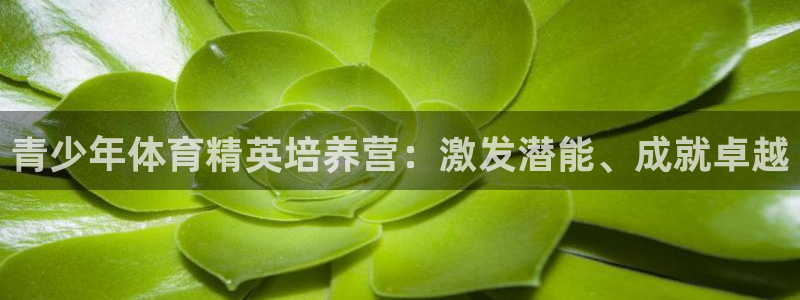 耀世娱乐建334-82 主管