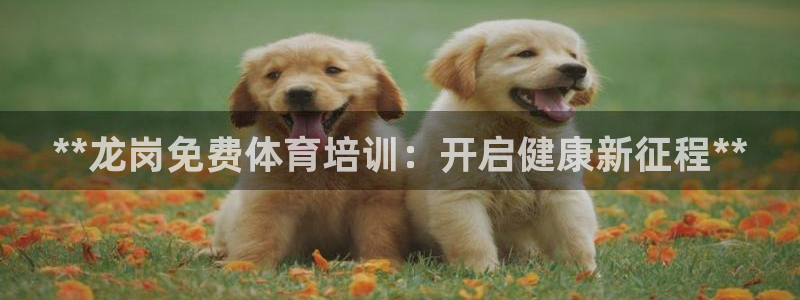 耀世平台最新注册地址在哪里：**龙岗免费体育培训：开