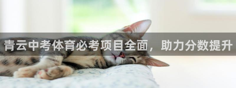耀世集团王大聪图片