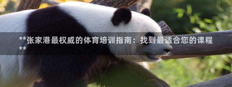 耀世娱乐能不能提现到支付宝
