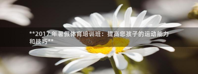 耀世平台拿什么输入账号密码呢：**2017 年暑假体
