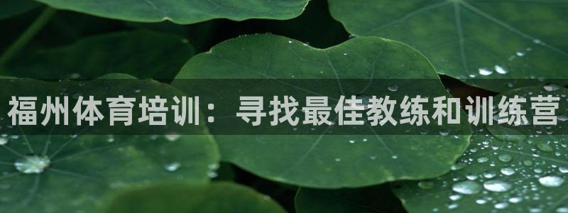 耀世平台人才：福州体育培训：寻找最佳教练和训练营