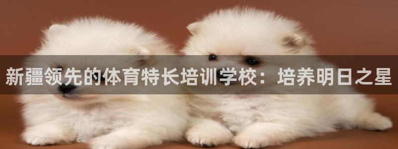 耀世娱乐官网注册流程：新疆领先的体育特长培训学校：培养明日之