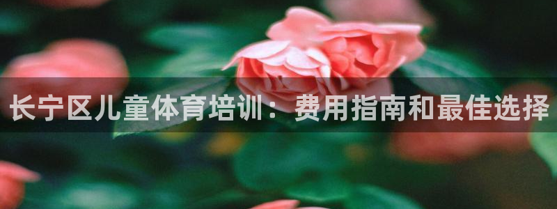 耀世盛典手游：长宁区儿童体育培训：费用指南和最佳选择