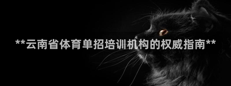 耀世开业是什么意思：**云南省体育单招培训机构的权威