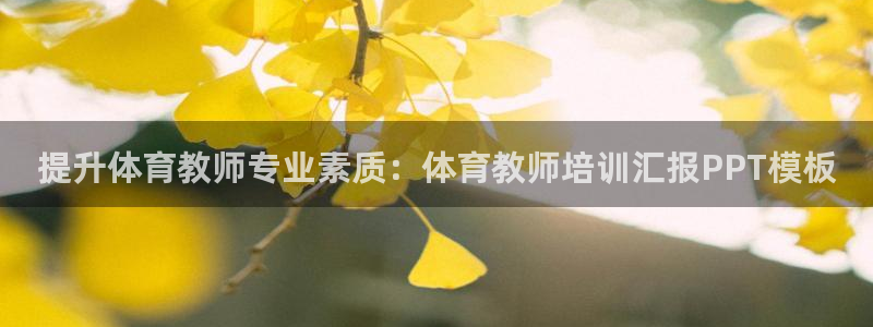 耀世集团罗文斌：提升体育教师专业素质：体育教师培训汇